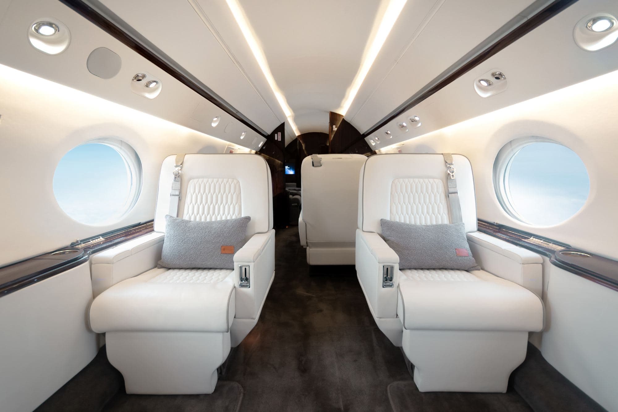 Gulfstream V LV-VEG · 3