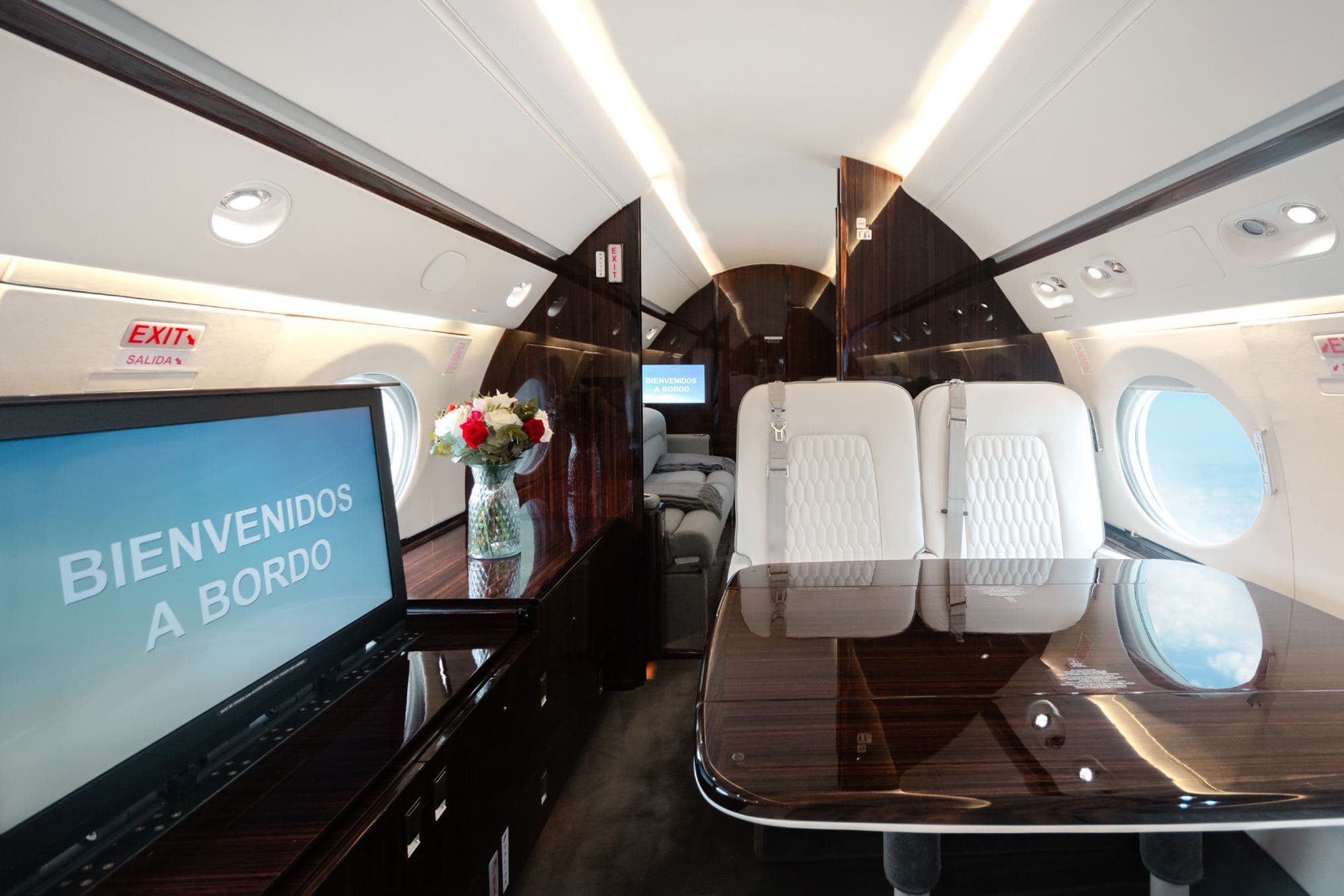 Gulfstream V LV-VEG · 4