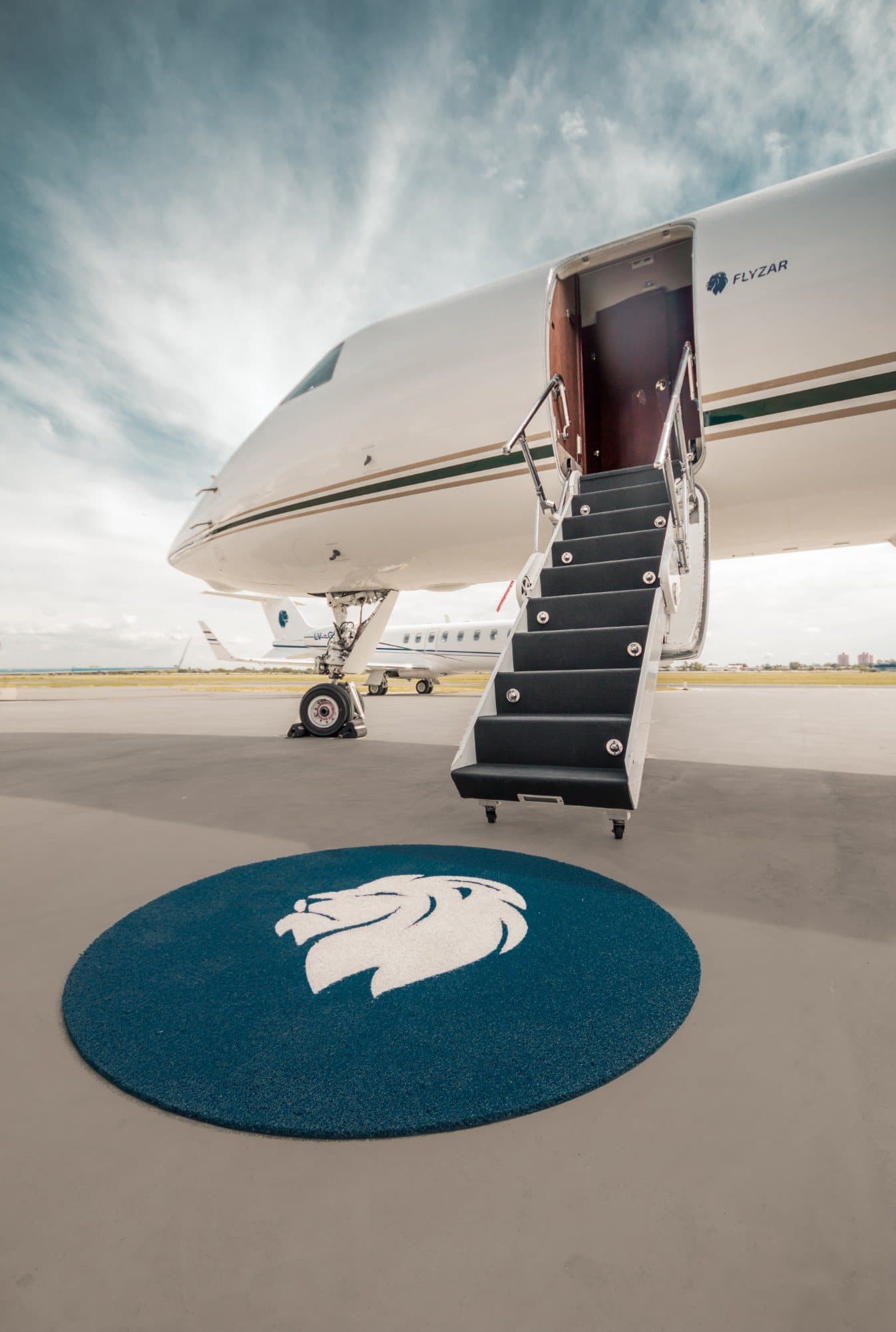 Escalier d'un jet privé au-dessus du tapis au lion de Flyzar